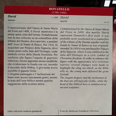 Early David 1408 by Donatello info