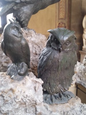 Owls