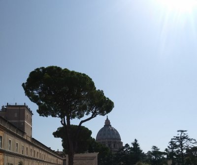 St. Peter's Dome by Michelangelo is 430 feet from the floor of the cathedral to the top of the lantern