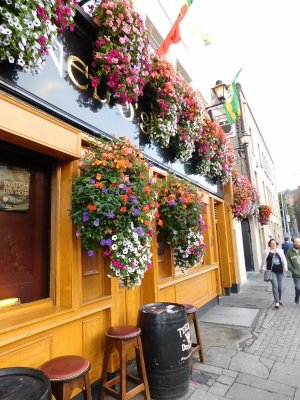 O'Sheas Merchant & Ned O' Sheas-continuing the tradition of rousing music, Kerry food & the warmest of Irish welcomes to all