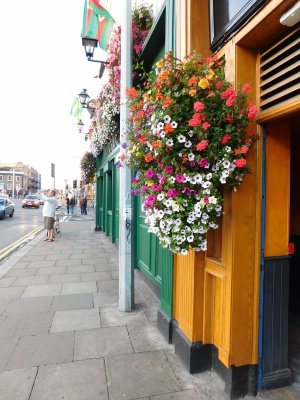 O'Sheas Merchant & Ned O' Sheas- My absolute favorite Pub in Dublin