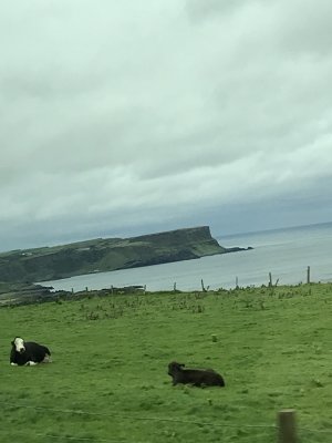 Giant's Causeway from far away