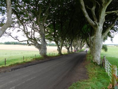 According to legend, the hedges are visited by a ghost called the Grey Lady, who travels the road & flits from tree to tree