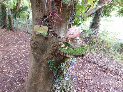 Bunratty Castle & Folk Park