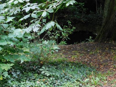 Bunratty Castle & Folk Park