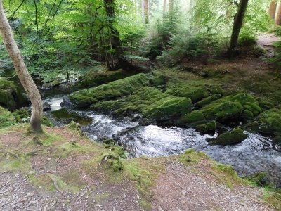 Tollymore Forest There are numerous artificial and natural features along the Shimna River, including bridges, grottos and caves