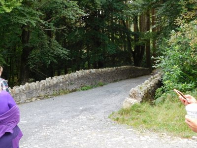 Tollymore Forest