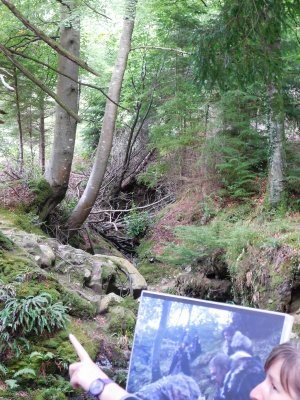 Tollymore Forest/ GOT path by the bridge where they came down to find the dead direwolf with pups
