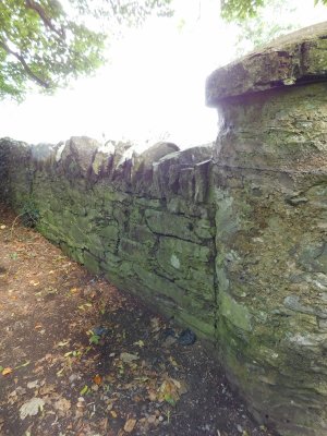 Audley's Castle- A bawn is the defensive wall surrounding an Irish tower house
