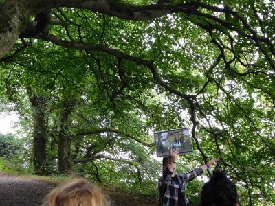 Castle Ward/ GOT Winterfell- filmed in the forest around Audleys Field