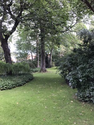 Holyroodhouse Gardens