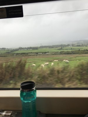 Views of Scotland countryside from the train window on our way home