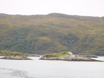  View across to the other shore of Loch nan Uamh with lots of rocky outcroppings