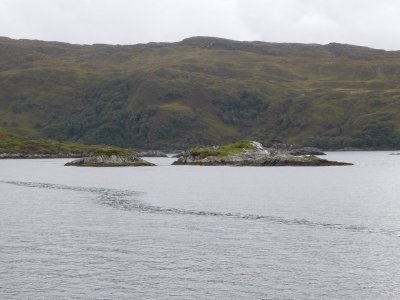 Loch nan Uamh
