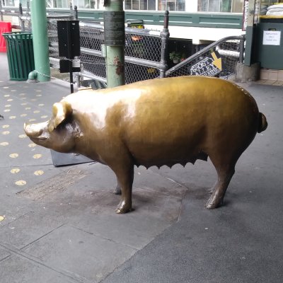 Rachel the Piggy Bank  Pike Place Markets original mascot and bronze piggy bank