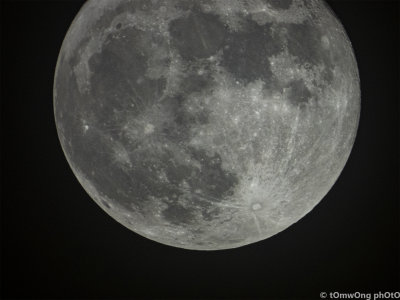 DSCN5818.jpg