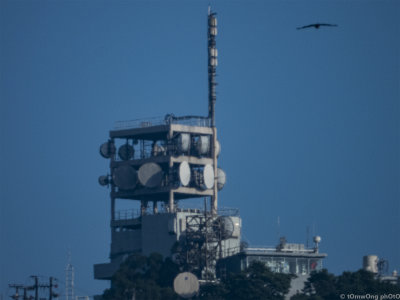 DSCN4681.jpg