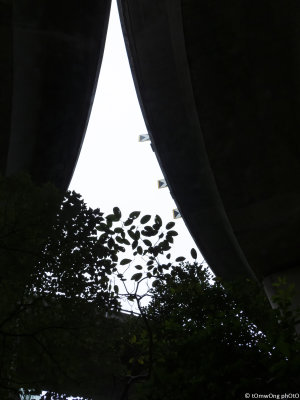 DSCN6731-2.jpg