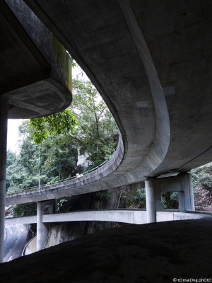 DSCN6745.jpg