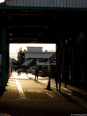 DSCN7825-2.jpg