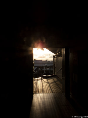 DSCN7936.jpg