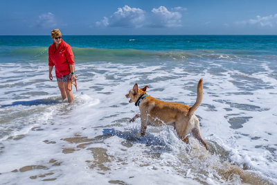 Haley in the Surf with Larkin.jpg