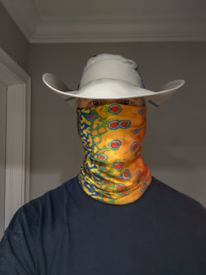 The Corona Look.jpg