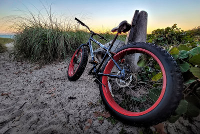 Beach Cruiser at Sunrise.jpg