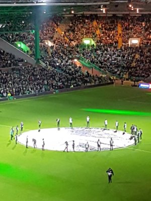 celtic (10).jpg