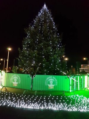 celtic (5).jpg