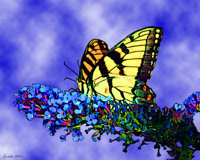 ButterflySwollowtailinno464.jpg