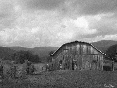 Barn in Black and White - Mars, NC