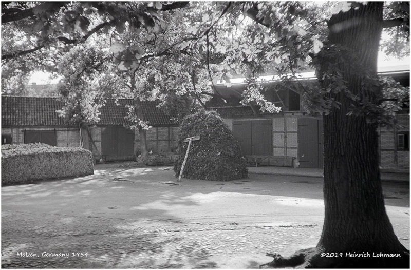 K418280 Molzen-1954.jpg