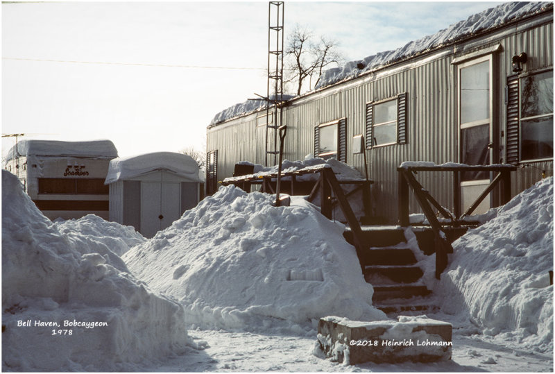 K416387Bobcaygeon.jpg
