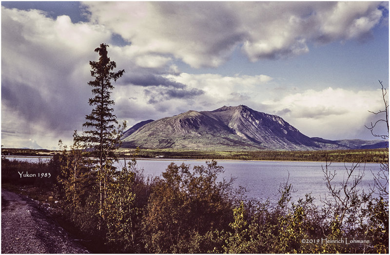 K417504Yukon1983.jpg