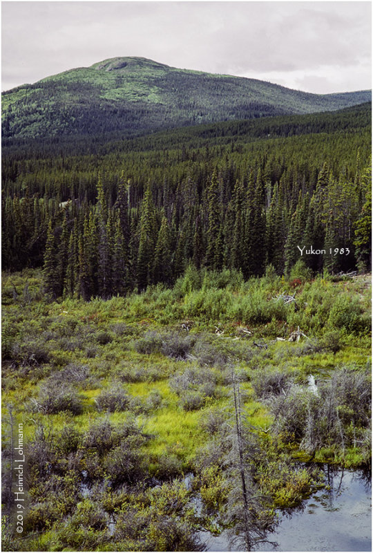 K417512Yukon1983.jpg