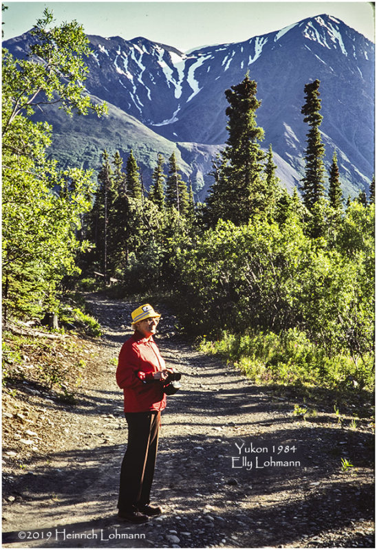 K417589Yukon_1984.jpg