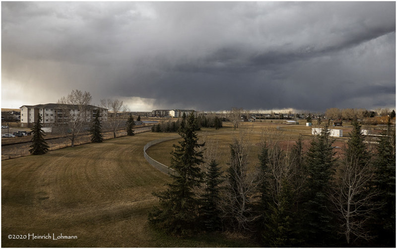 DSC0638-Airdrie.jpg