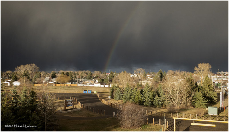 DSC0659-Airdrie.jpg