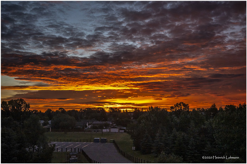 DSC2537-Airdrie.jpg