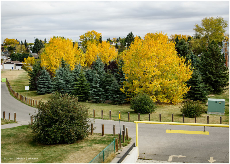 K421864-Airdrie.jpg