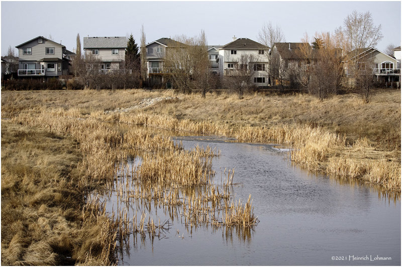 K423288-Airdrie.jpg