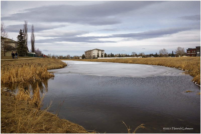DSC4397-Airdrie.jpg
