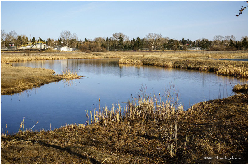 DSC4579-Airdrie.jpg