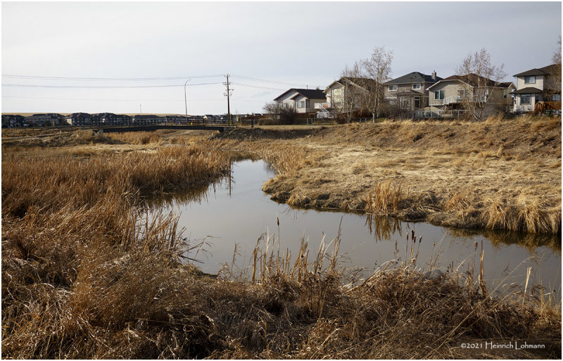 DSC4548-Airdrie.jpg