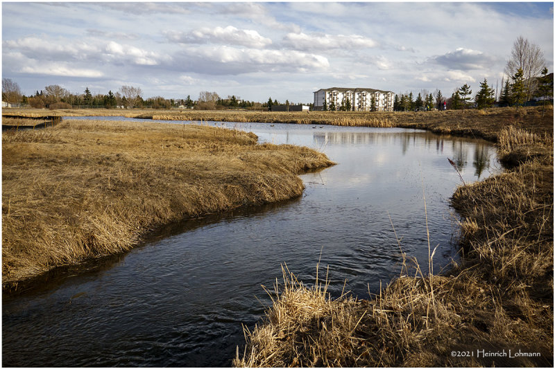 DSC4858-Airdrie.jpg