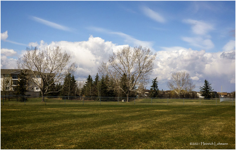 DSC5089-Airdrie.jpg