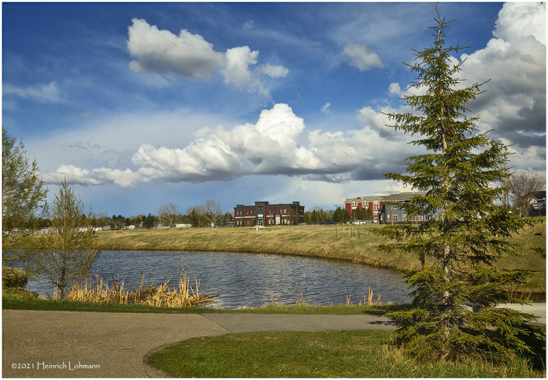 DSC5199-Airdrie.jpg