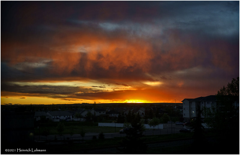 DSC5324-Airdrie.jpg