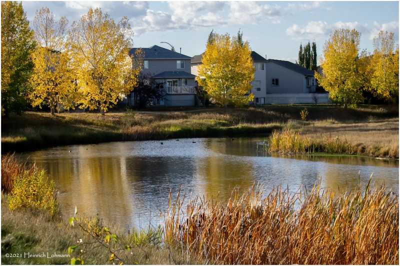 K4227304-Airdrie.jpg